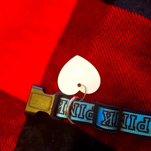 💙Rare VS Pink Dog Collar & Dog Tag💙 - Picture 5 of 5